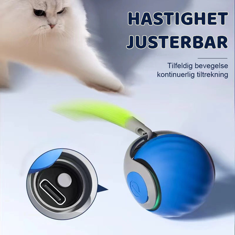 Smart Katteball