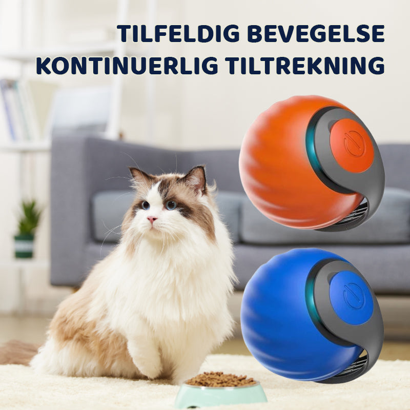 Smart Katteball