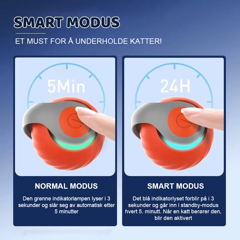 Smart Katteball