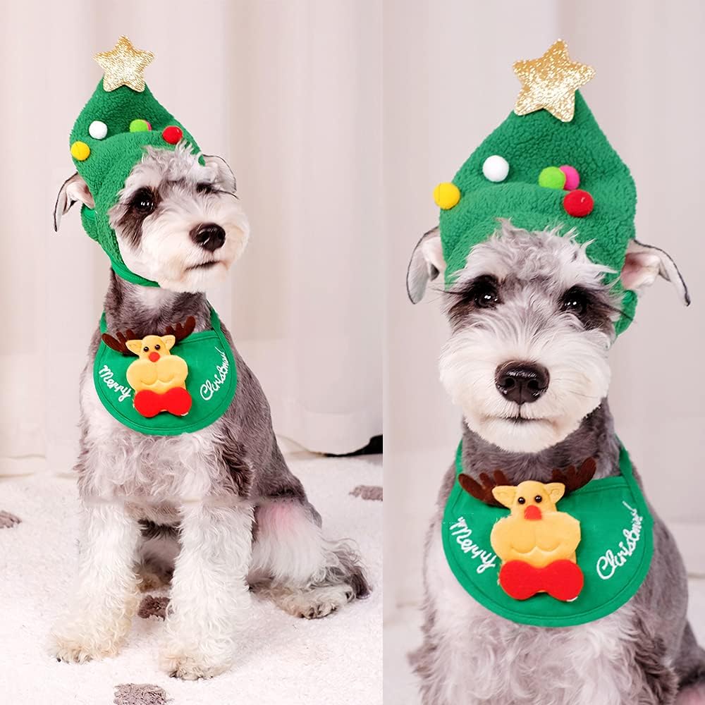 🐶Bedårende lue med pom-pom på juletreet🐱