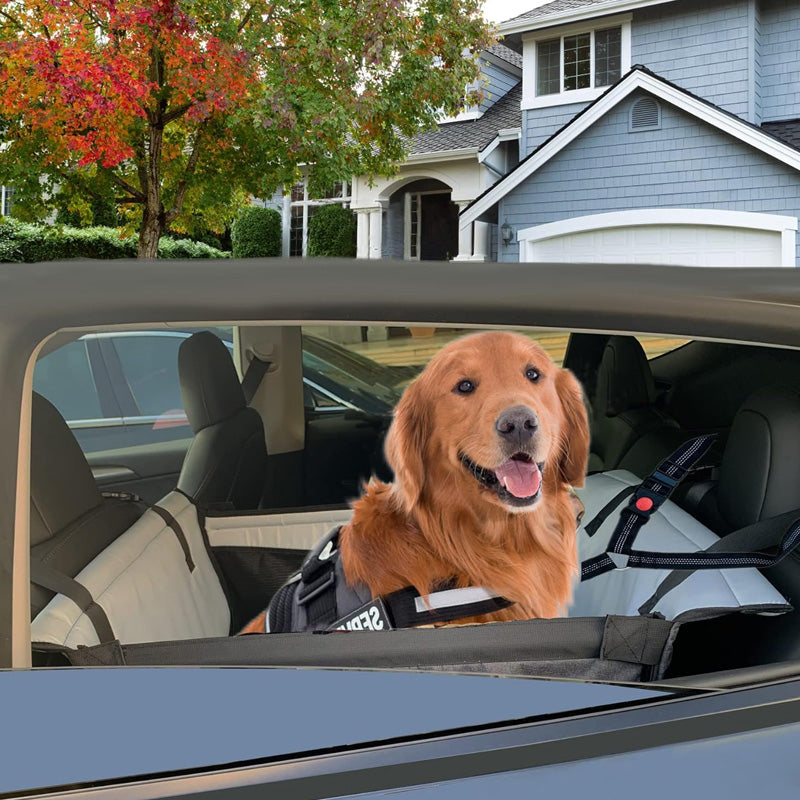 Bilsikkerhetssete for hunder og katter/Car safety seat for dogs and cats