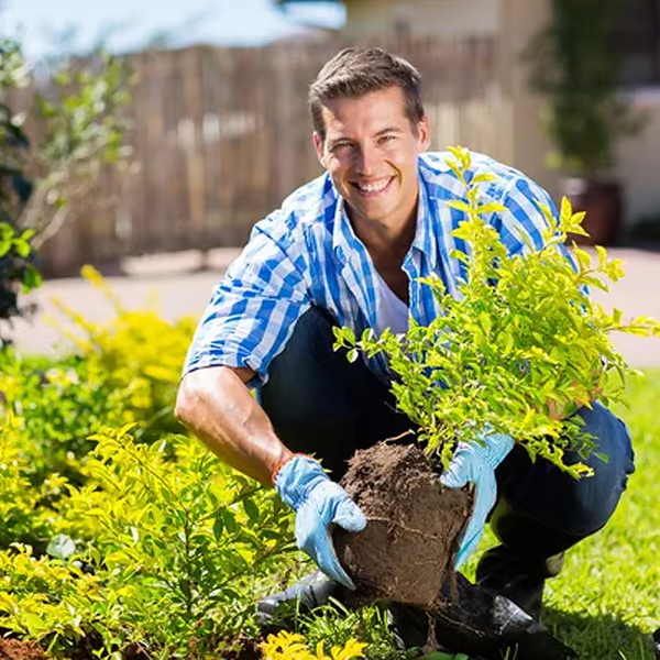🌱 Blomstrende jord, uanstrengt naturlig - jordaktivator🌱
