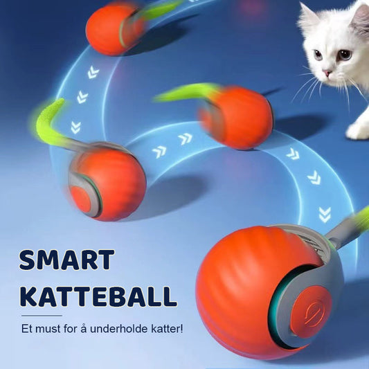 Smart Katteball