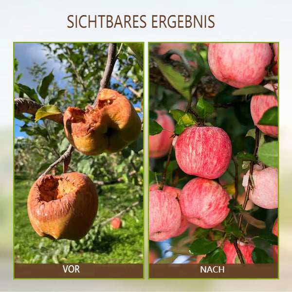 🌱 Blomstrende jord, uanstrengt naturlig - jordaktivator🌱