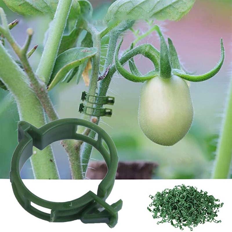 Plantefikseringsklemmer