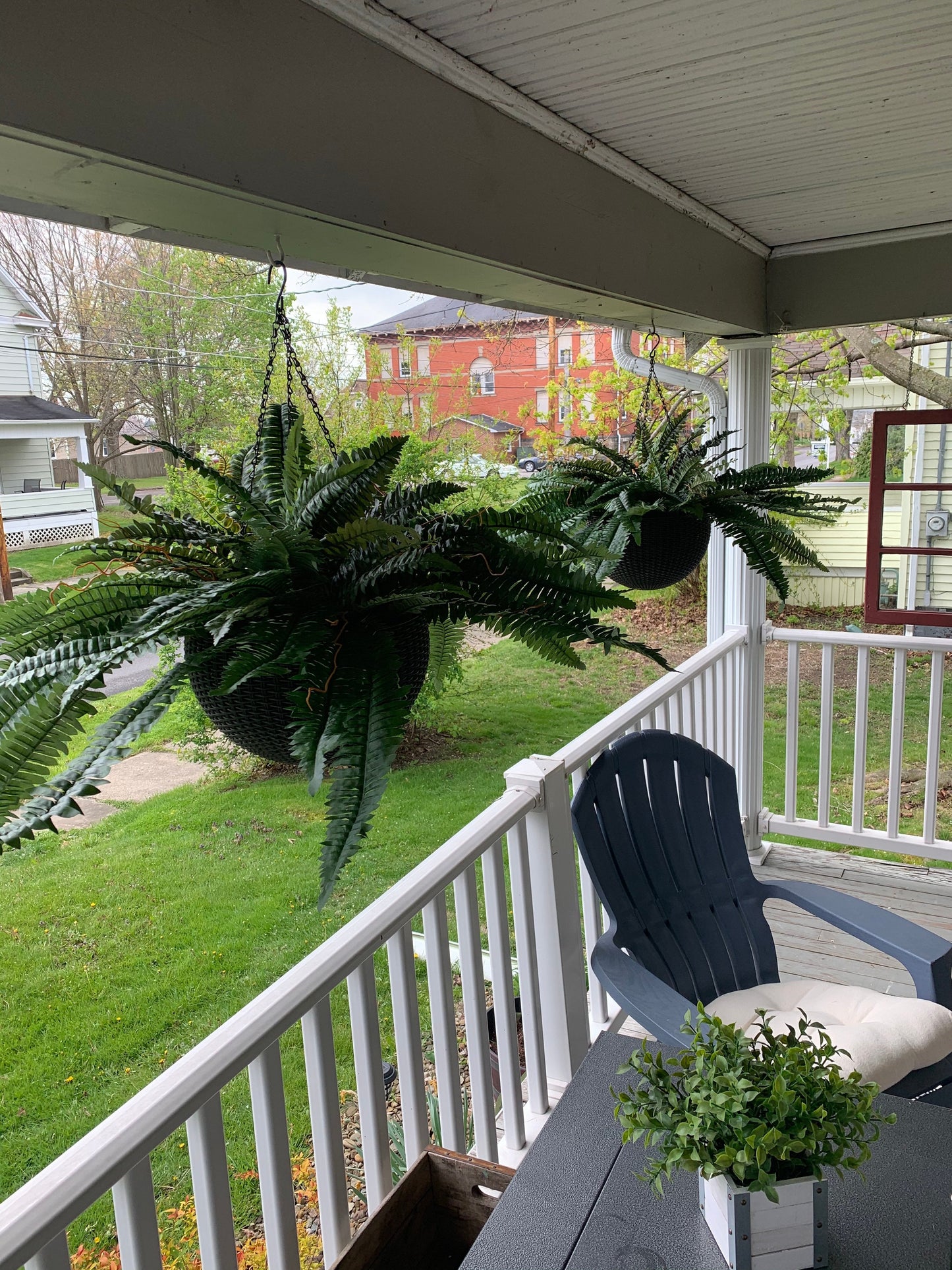 Siste dag 75% avslag - Realistisk UV-bestandig kunstig Boston Fern/Last Day 75% Off - Realistic UV Resistant Artificial Boston Fern