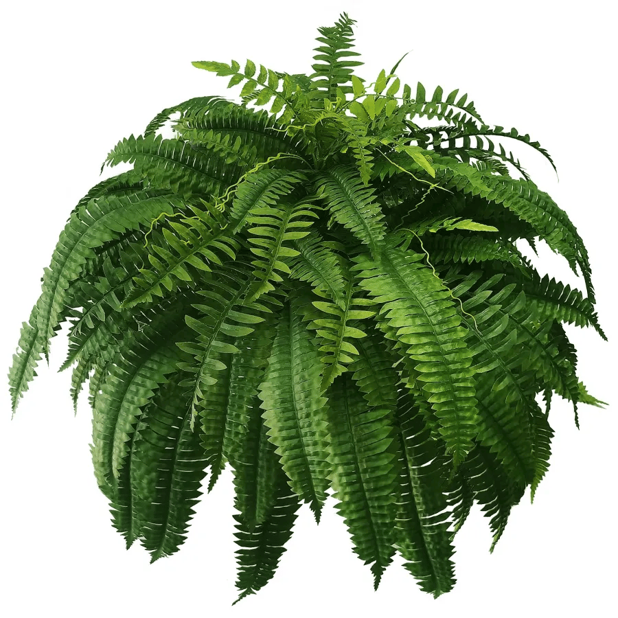 Siste dag 75% avslag - Realistisk UV-bestandig kunstig Boston Fern/Last Day 75% Off - Realistic UV Resistant Artificial Boston Fern