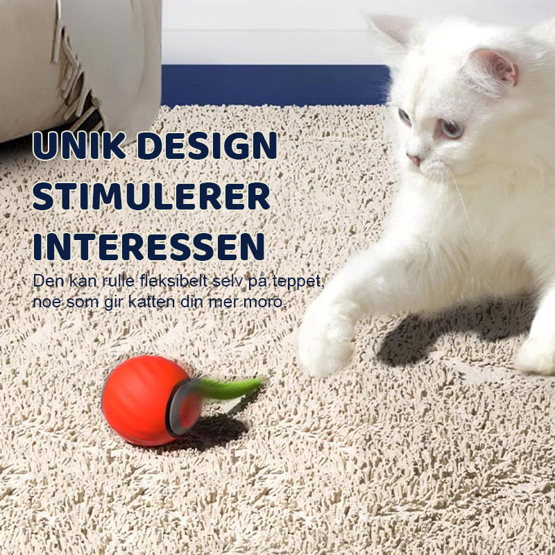 Smart Katteball