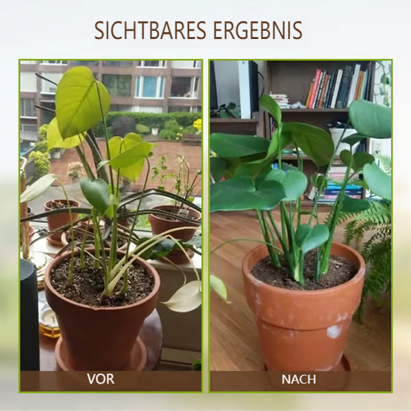🌱 Blomstrende jord, uanstrengt naturlig - jordaktivator🌱